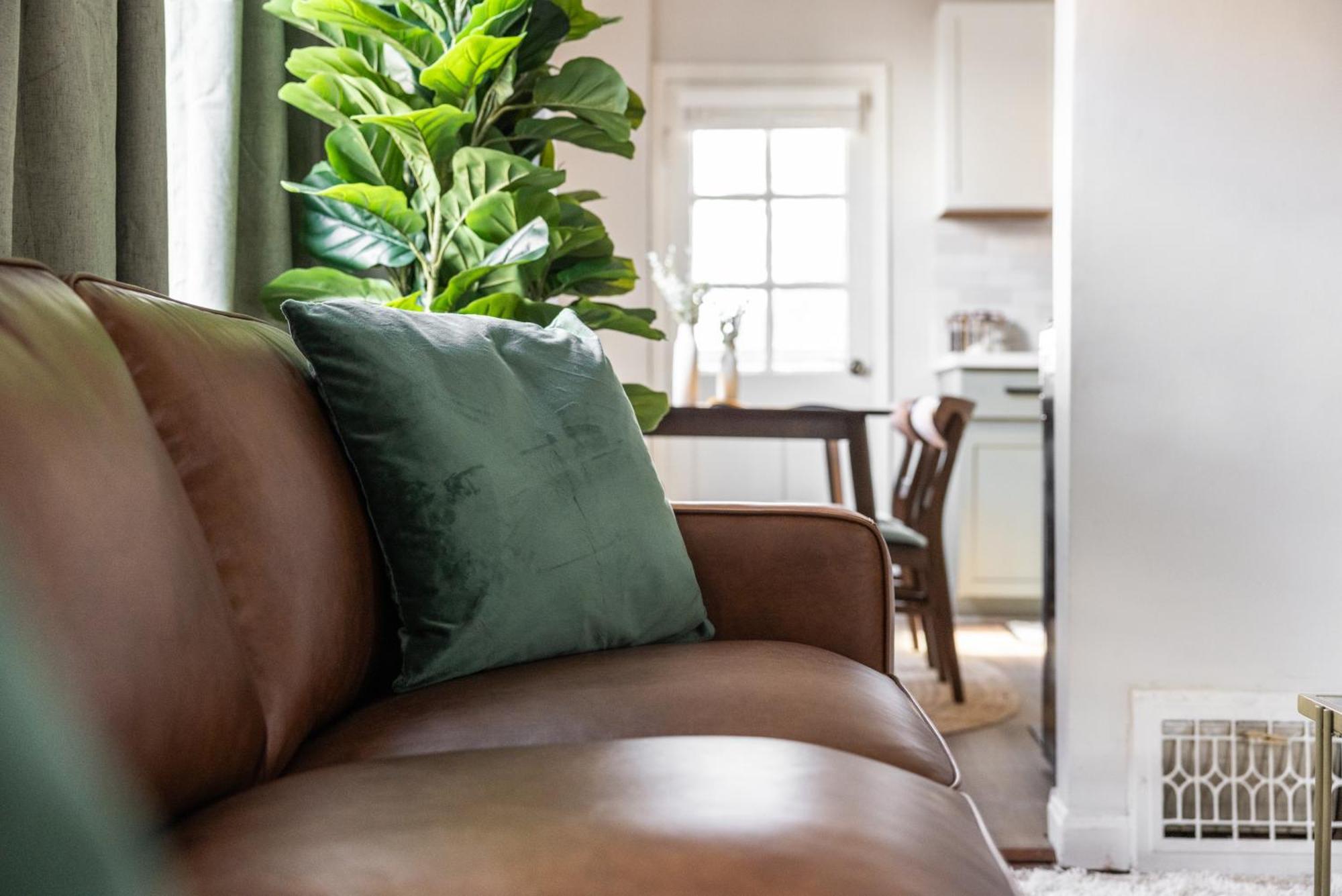 클리블랜드 Mid-Century Modern Retreat In Little Italy 아파트 외부 사진